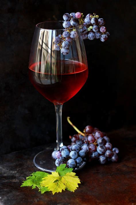 Wine Flower Glass Food Produce Drink Red Wine Still Life Material