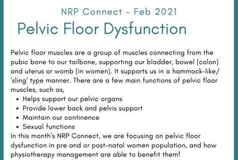 Pelvic Floor Dysfunction Lion Rocker Physiotherapy