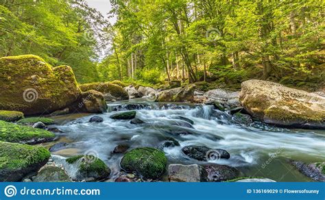 Forest Photography Mountain River And Mossy Stones Stock Image Image