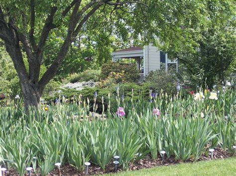 Montclair Nj Scene From The Presby Iris Memorial Gardens Photo