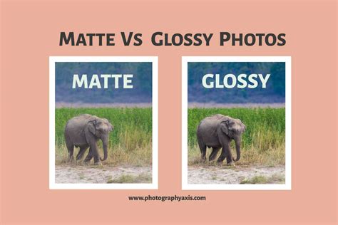 Matte Vs Glossy Photos Which Is Best For You Photographyaxis