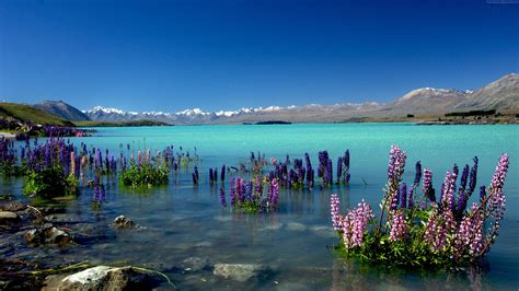 Wallpaper Lake Tekapo New Zealand Mountains 4k Travel