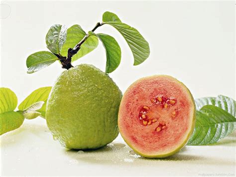Guava Inexpensive Healthiest Fruit From Nature Healthyliving From