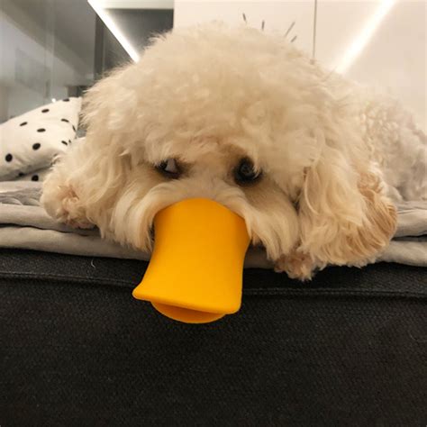 Duck Beak Shaped Dog Muzzle