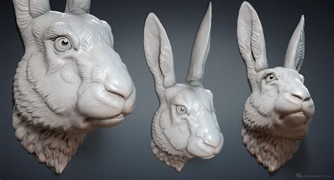 Hare Rabbit Head 3d Model For 3d Printing Digital Sculpting By