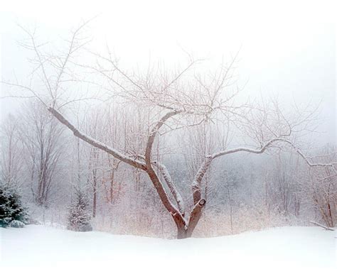 Winter Landscape Photograph New England Rural Snow Scene Etsy