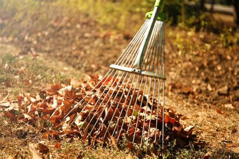 What Are You Doing About Your Fall Leaf Cleanup Custom Lawn