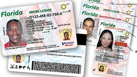 Florida Bill Would Allow Illegal Immigrants To Get Drivers Licenses