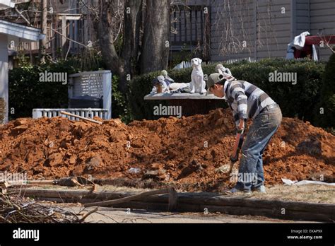 Man Digging Dirt Usa Stock Photo Alamy