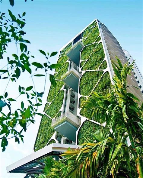 Cdls Tree House Singapore Il Più Grande Giardino Verticale Al Mondo