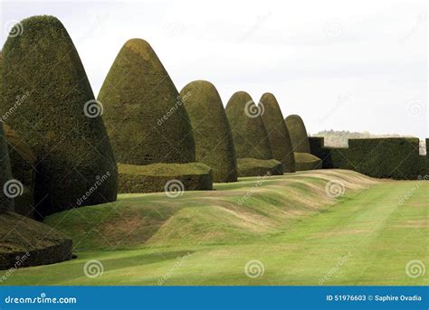 Yew Topiary Garden Chirk Castle Wales England Stock Image Image Of