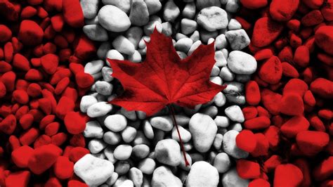 Canada Flag Wallpapers Top Free Canada Flag Backgrounds Wallpaperaccess