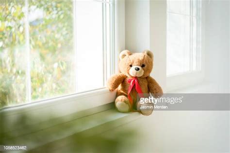 Teddy Bears Window Photos And Premium High Res Pictures Getty Images
