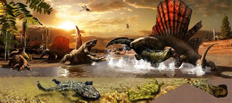The Permian Period End Of The Paleozoic
