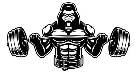 Black And White Illustration Of A Gorilla With Barbell 539370 Vector