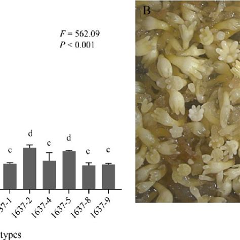 Somatic Embryo Production By Pinus Thunbergii A Mean Number ± Se Of