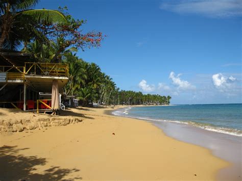 la plage de las terrenas dans la péninsule de samana république dominicaine