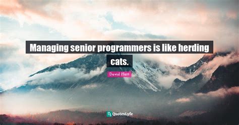Managing Senior Programmers Is Like Herding Cats Quote By David