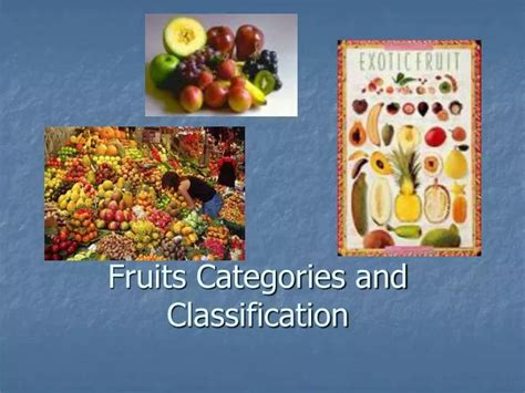 Ppt Fruits Categories And Classification Powerpoint Presentation