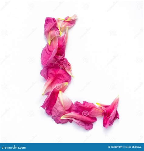 Alphabet Made Of Peony Petals Letter L Layout For Design Stock Image