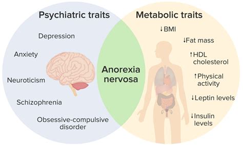 Anorexia Nervosa Symptome Ursachen And Therapie Lecturio