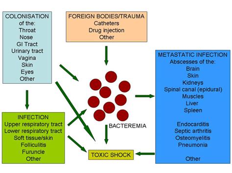 Clinical Infectious Disease Introduction