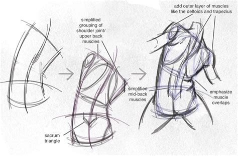 To draw the human back, identify the angle of the spine, and indicate it on canvas, then find the spines of the scapulas from which to connect and construct all the muscles of the upper back. Draw a figure in under five minutes | Drawings, Life drawing, Sketches