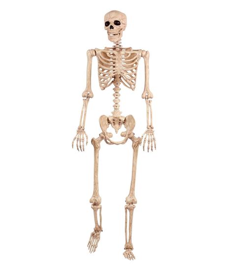 The Boneyard Halloween 60 Posable Skeleton Scary Halloween
