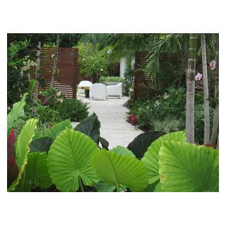 Florida Front Yard Garden Design Garten Miami Von Matthew