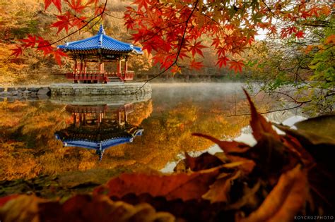 An Autumn Road Trip Travel And Landscape Photography In Naejangsan