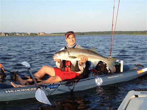 Surfland Bait And Tackle Plum Island Fishing June Report