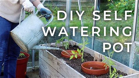 Diy Self Watering Pot For The Garden Olla Update Youtube