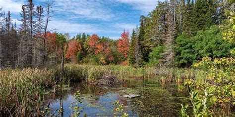 Bonnechere Provincial Park How To Stay Play And See The Best Fall