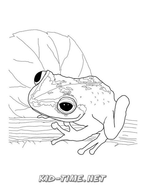 Realistic Frog Coloring Pages 015 Kids Time Fun Places To Visit And