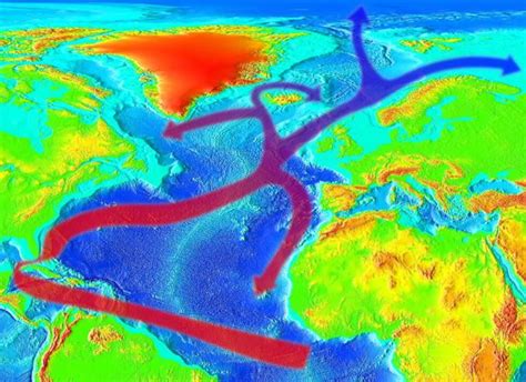 La Corriente Del Golfo Y La Circulación Termohalina Hombre Geológico