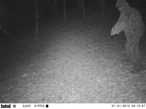 Asheville Resident Reports Possible Bigfoot Sighting Near Sevierville