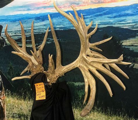 World Record Whitetail Scores Even Higher Than Before
