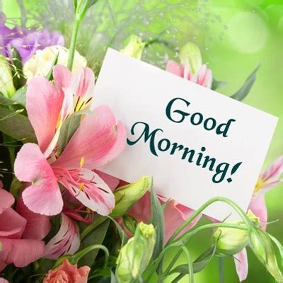 Simple good morning wishes card for family and friends. Flowers Romantic Morning - Good Morning Images, Quotes ...