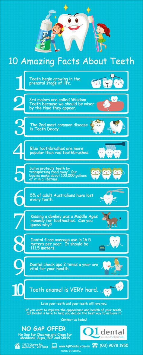 Dental Trivia Dental Fun Dental Fun Facts Dental Facts My Xxx Hot Girl