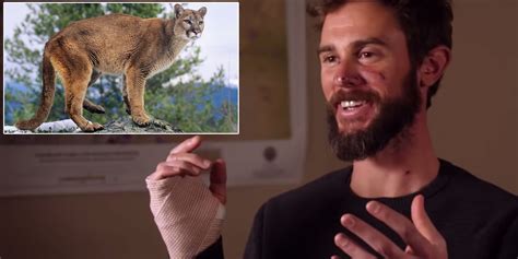 Colorado Jogger Recounts Choking Mountain Lion To Death When Attacked
