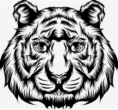 Tiger Head Tattoo Vector Hd Images The Illustration Of The Tiger