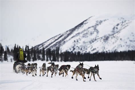 What Is The Dog Sled Race In Alaska Called
