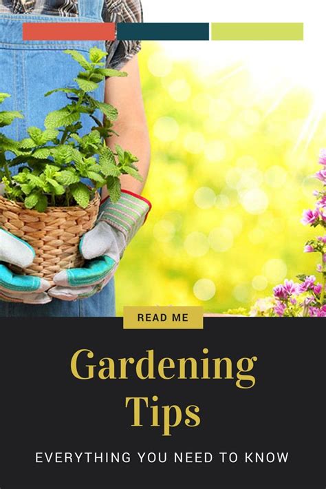 Backyard Garden Reducing Stress By Growing A Home Garden Check Out