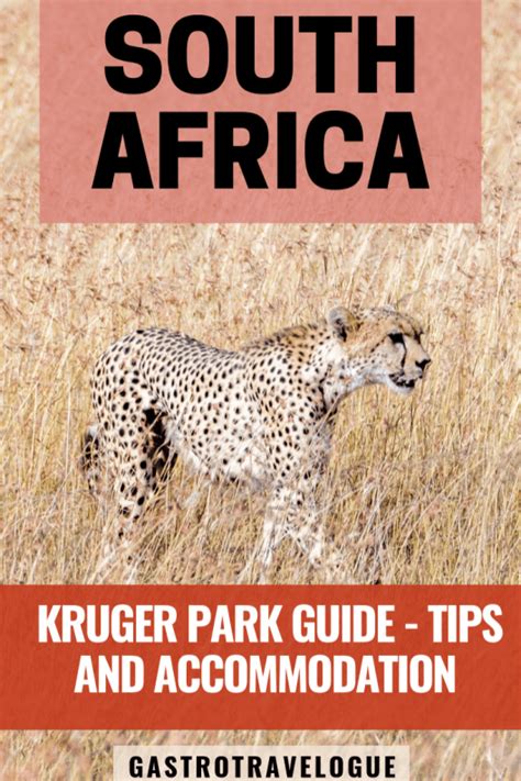 Safari Travel Guide To The Kruger National Park Artofit