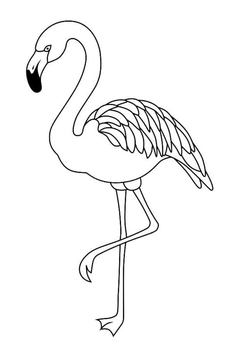 Ausmalbilder Flamingo Kostenlos Zum Ausdrucken
