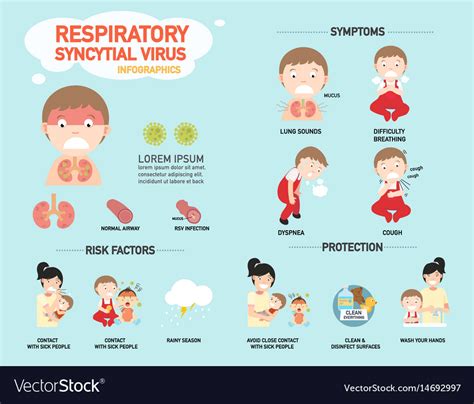 Respiratory Syncytial Virus Infographic Royalty Free Vector