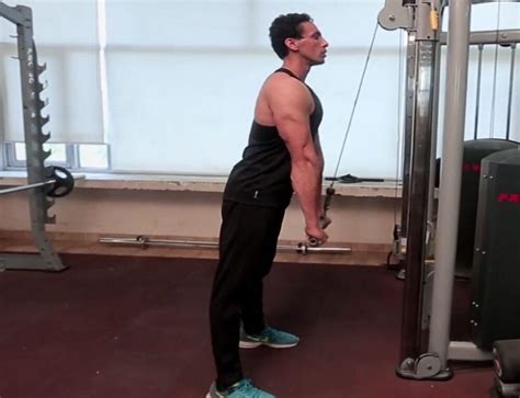 Seated Ez Bar Overhead Triceps Extension Exercise Guide