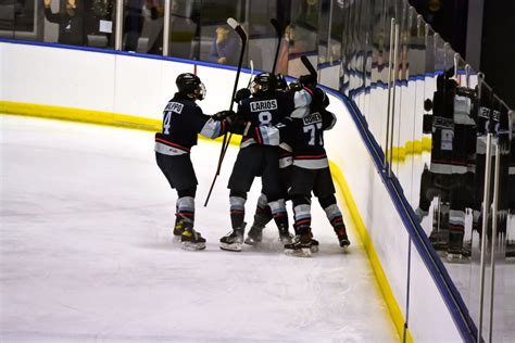 About - Florida Alliance Youth Hockey