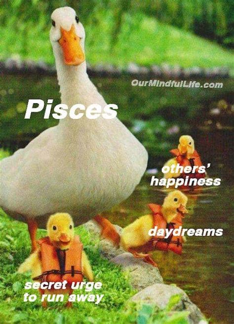 27 Funny Pisces Memes Too Real That It Hurts Our Mindful Life