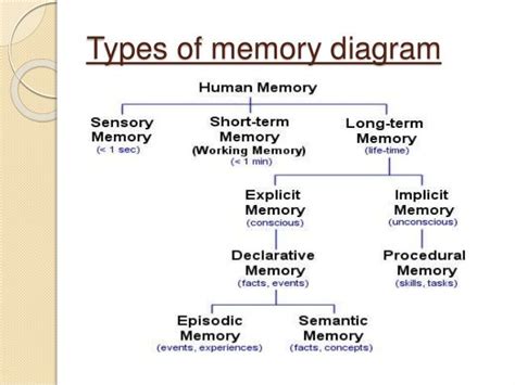 Types Of Memory Diagram Ap Psychology Psychology Notes Psychology
